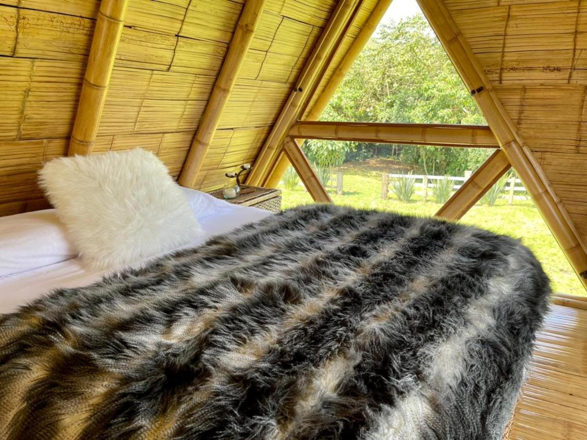 Glamping La Herradura Santa Rosa de Cabal Luaran gambar